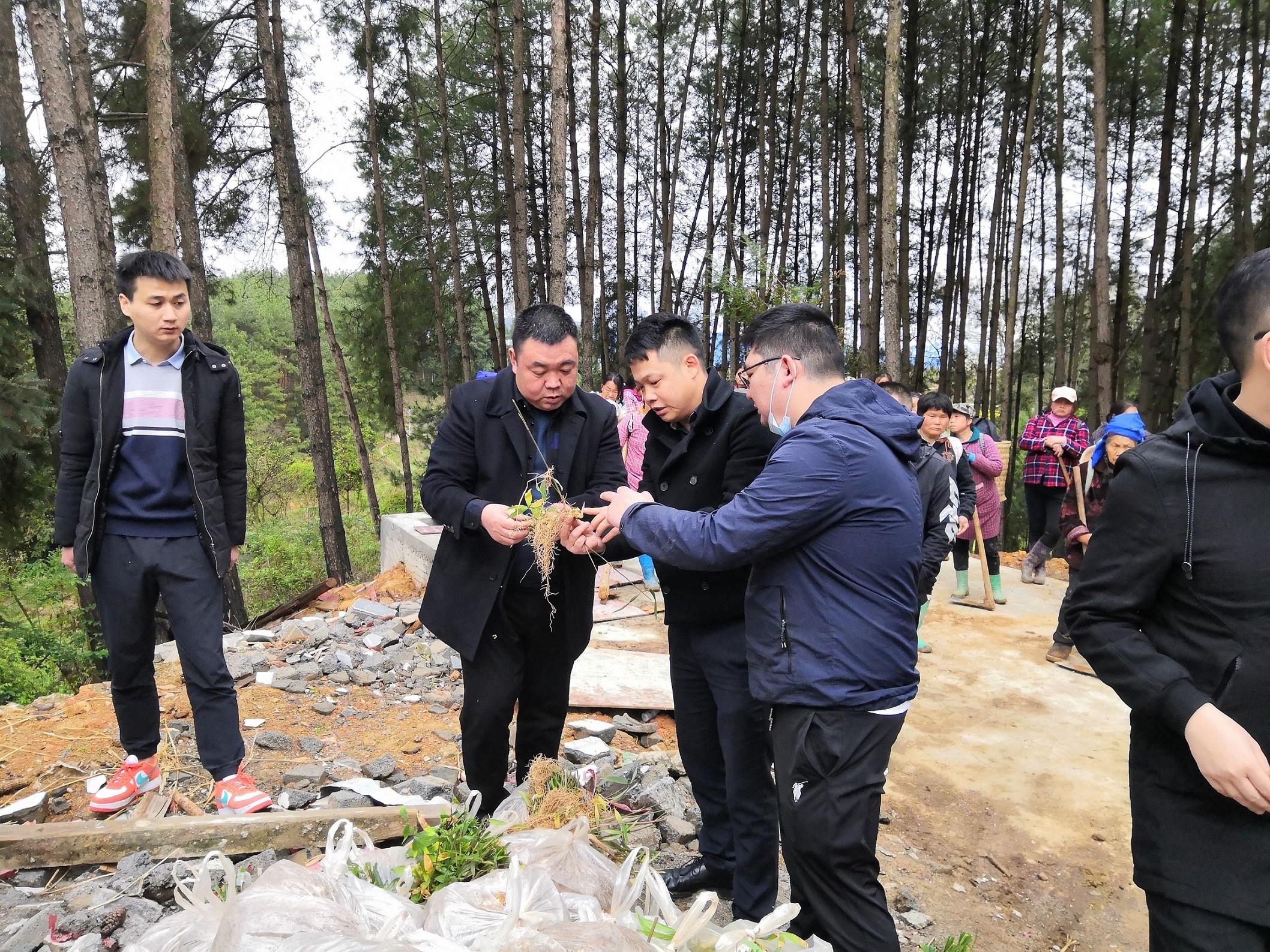 銅仁市城交集團(tuán)九龍地礦公司總經(jīng)理王剛一行前往石阡縣國家儲(chǔ)備林項(xiàng)目（五期）檢查工作