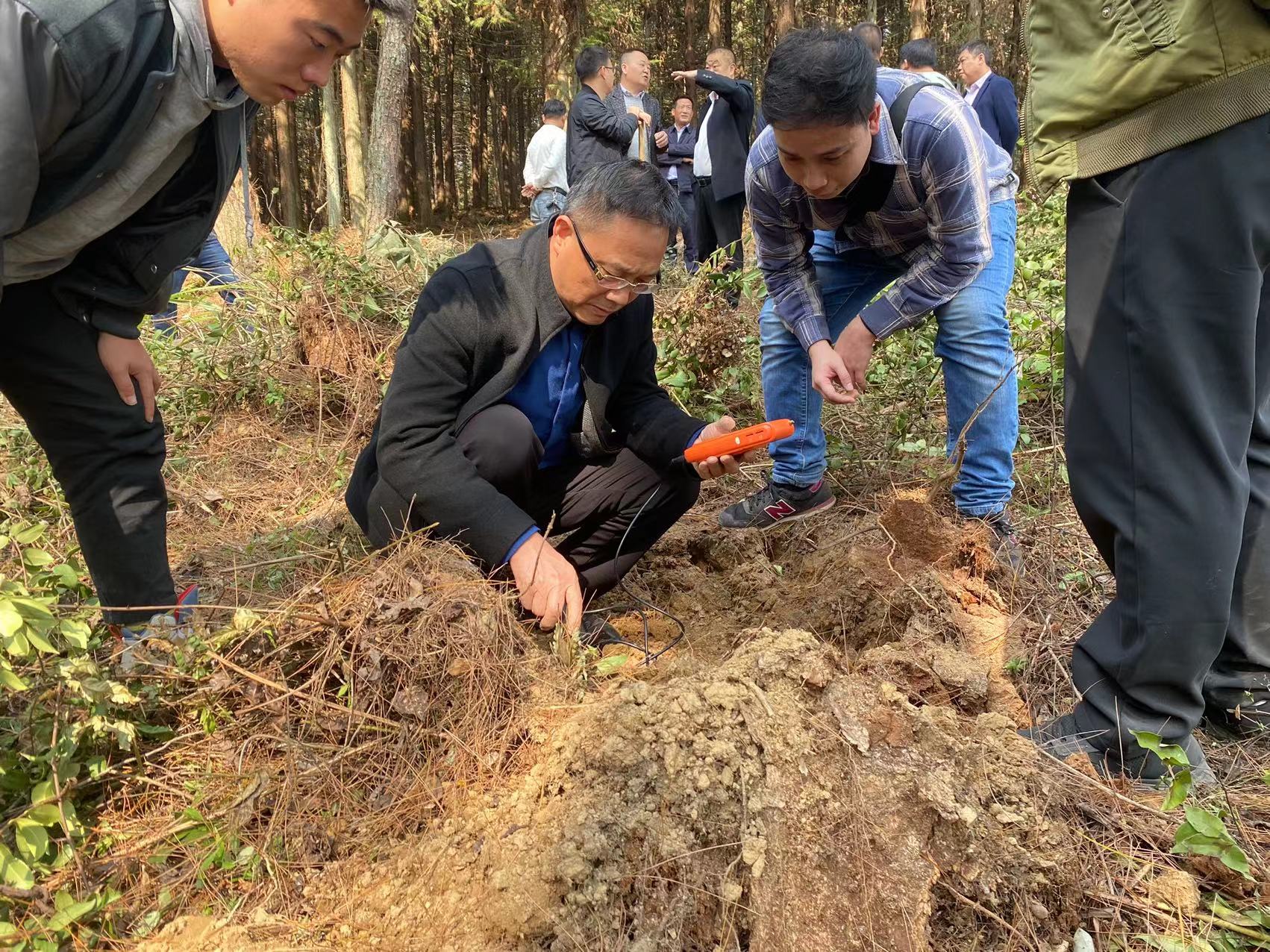 楊仁德赴石阡縣林下羊肚菌省級示范基地調(diào)研